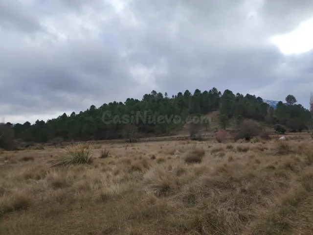 TERRENO A LA VENTA EN RIOPAR - foto 2