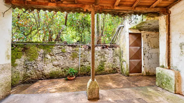 Finca con casa tradicional canaria y terreno de más de 12.000 m2 en Valsendero – Valleseco — 9