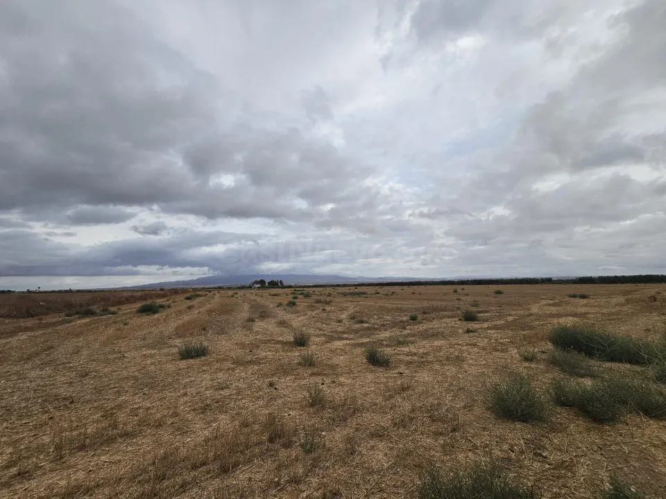 A LA VENTA TERRENO DE SECANO EN EL CAMPILLO DE ARRIBA