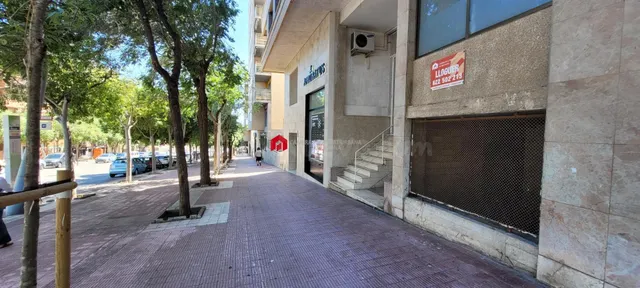 Local de 165 m2 al lado del campus universitario Catalunya.  - foto 3