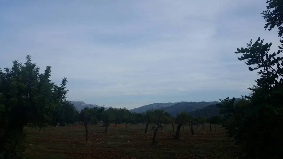 Finca con licencia