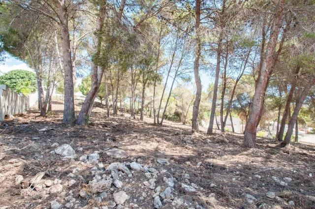 Parcela en venta - Pla del mar - foto 5
