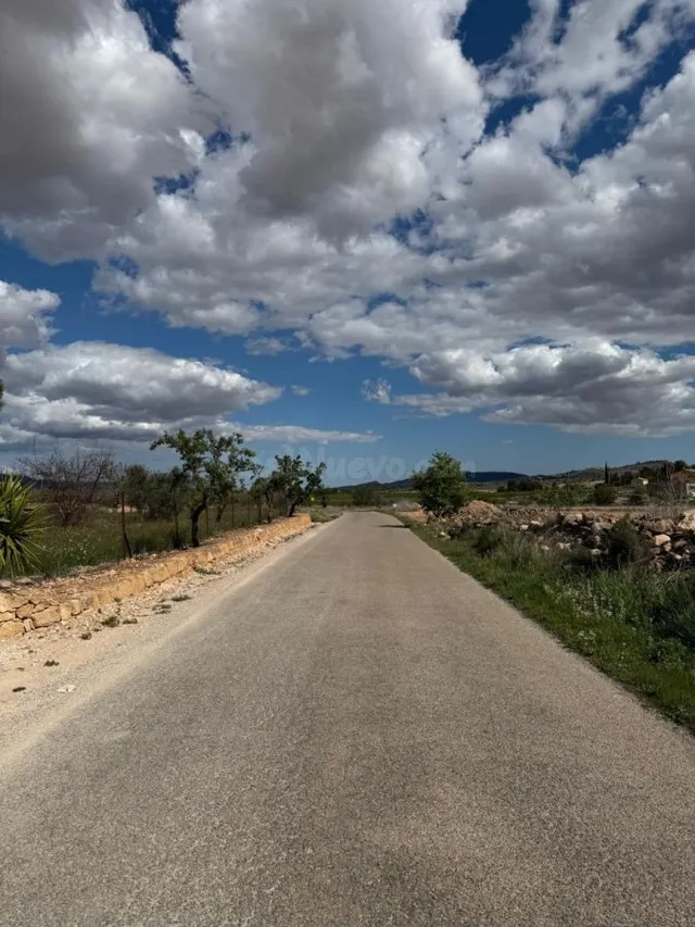 Parcela rural para la venta en Pinoso, Comunidad Valenciana - foto 2