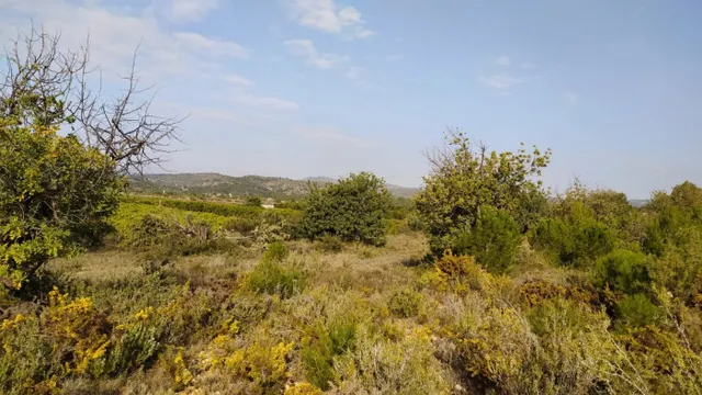Se vende terreno de secano en Llíria. / HH Asesores, Inmobiliaria en Burjassot/ — 2