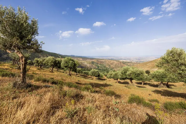 En Venta Maravilloso Paraje Natural, a medio camino entre Granada y Sierra Nevada, a veinte minutos en coche, desde cada una de ellas. — 16