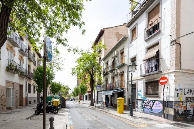 CONJUNTO DE PISOS Y PLANTA BAJA EN GRANADA CON 490 m2 — 3