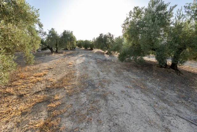 Terreno rural en venta - Alfacar — 27