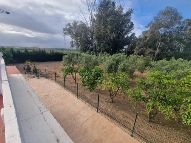 Finca rustica el pintado, Gibraleón — 31