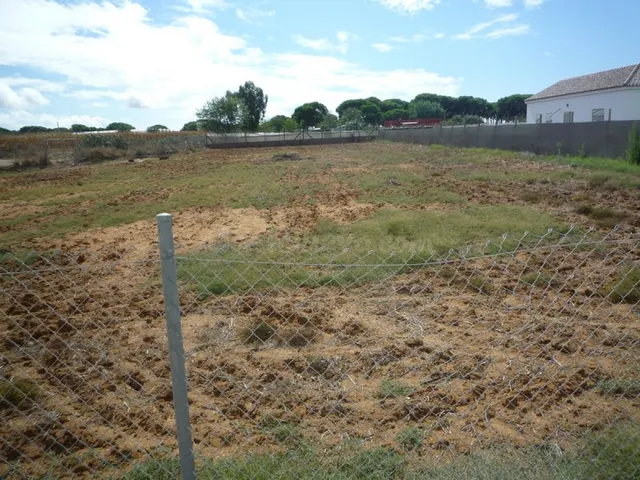 Terreno en el Pinar de la Villa cercano a la Ermita Virgen d - foto 4