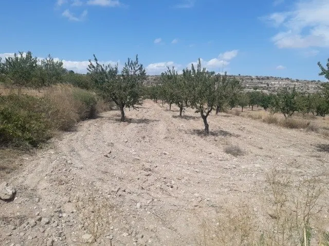 Se vende terreno de 16000 metros — 9