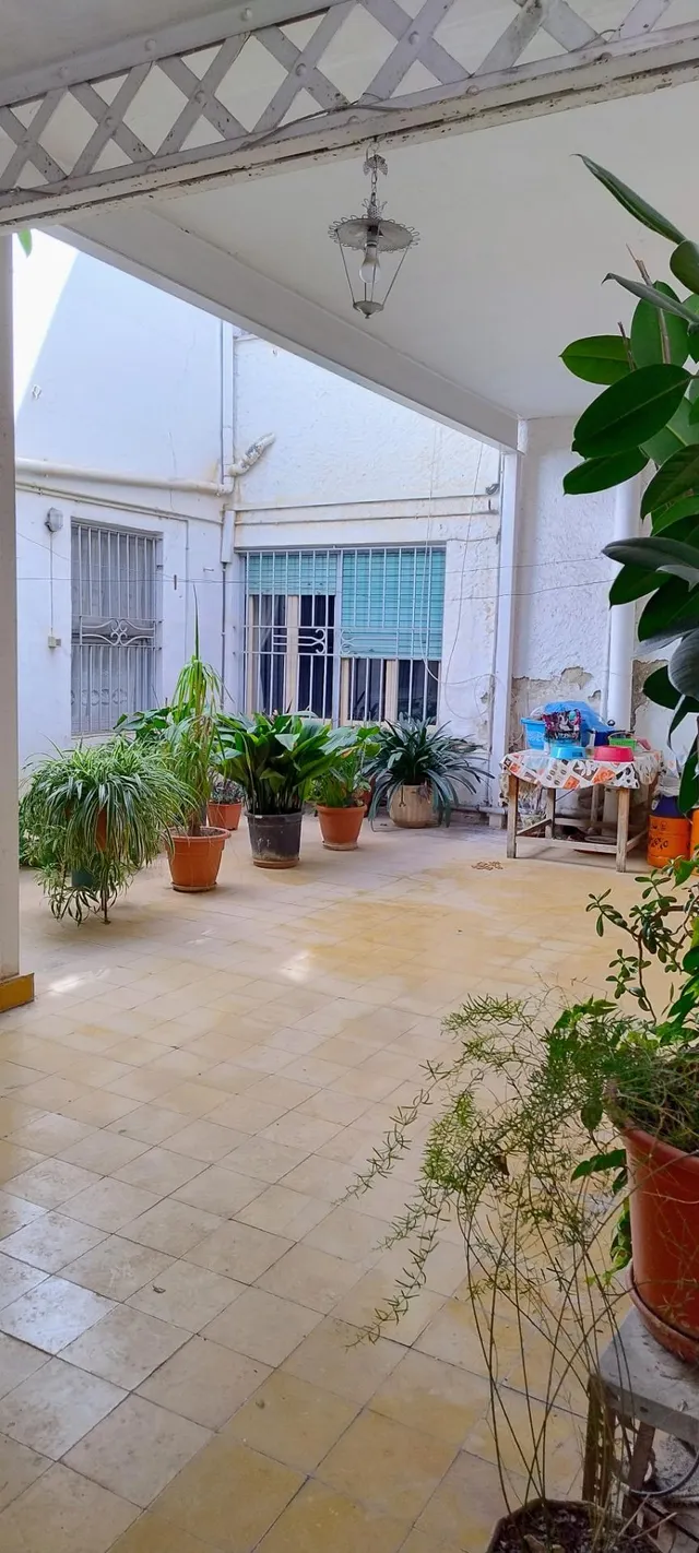SE VENDE CHALET Y EDIFICIO DE 2 PLANTAS EN PETRER — 25