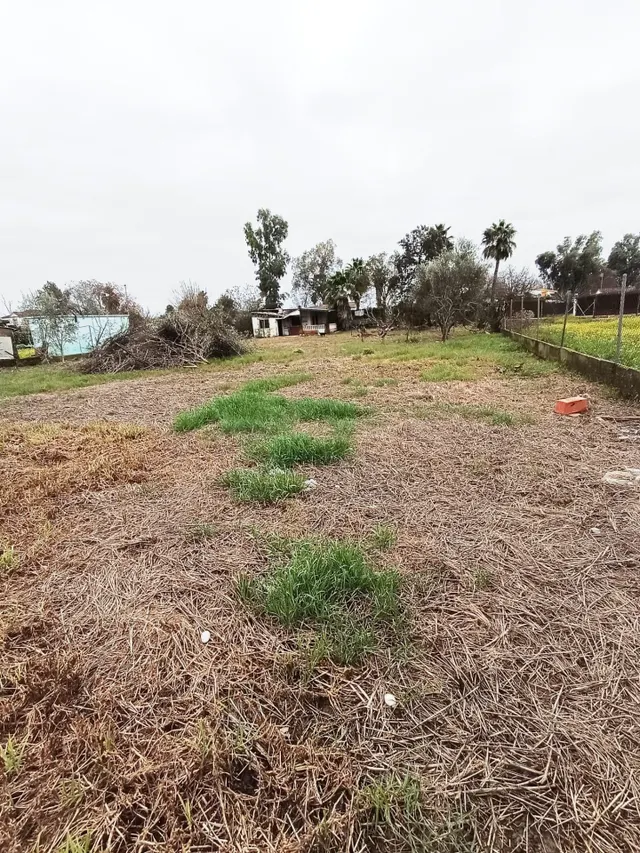 SE VENDE CASA CON TERRENO EN EL CORTIJO DEL ALAMILLO - VILLA