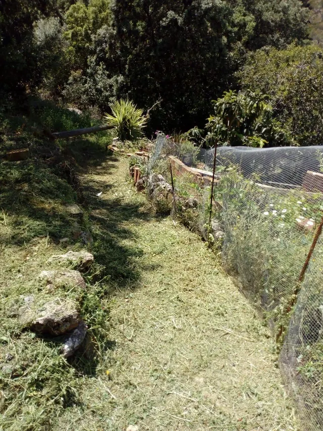 Finca rústica a la venta en Comares — 16