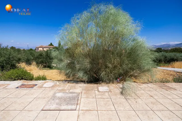 Preciosa parcela con vistas a la sierra — 12