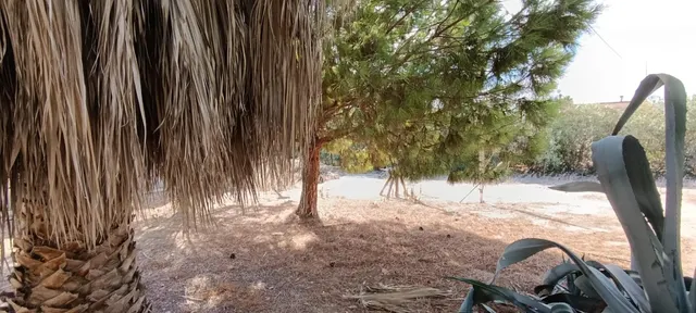 Espléndida Casa de Campo con Piscina en La Hoya, Elche — 41