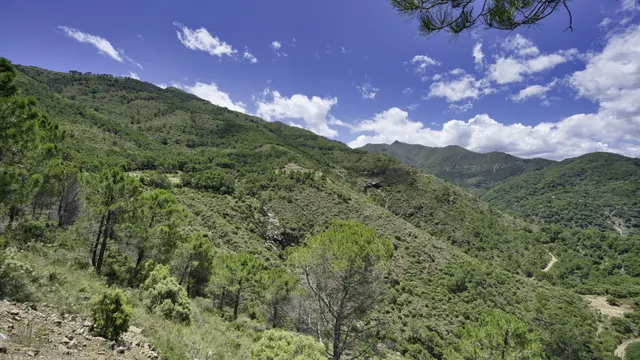 Parcela en venta - South of spain — 11