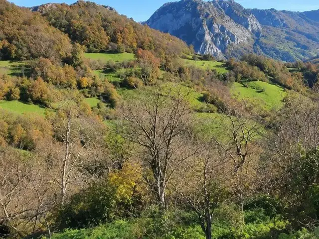 Casa rural con encanto asturiano, vistas excepcionales y hor