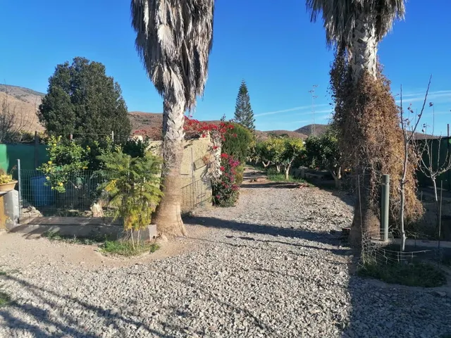 Cortijo con terreno - foto 5