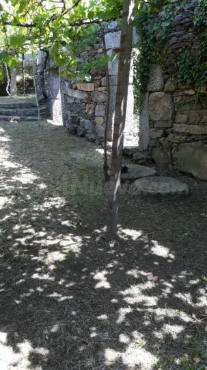 Finca rustica en venta en Redondela