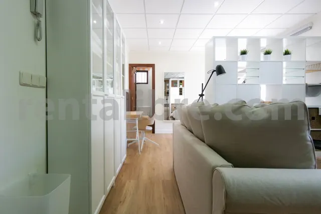 Loft 1 habitación 44m² en alquiler - Centro — 9