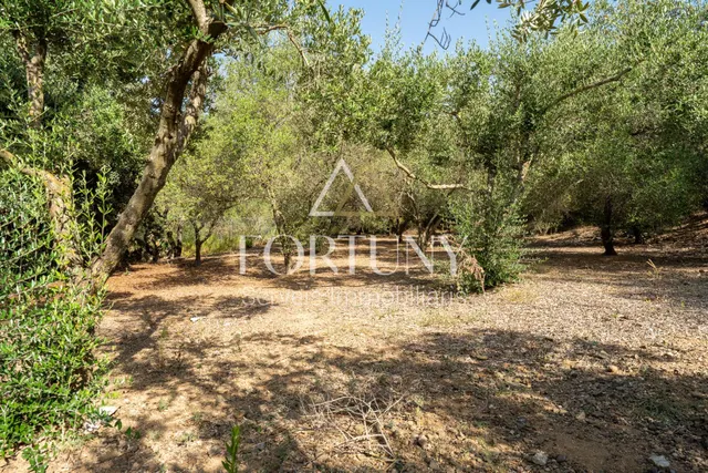 Casa en venta en Partida Freixe, Riudoms. — 36