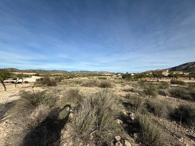 Venta  de terreno en Barinas (Abanilla) — 5
