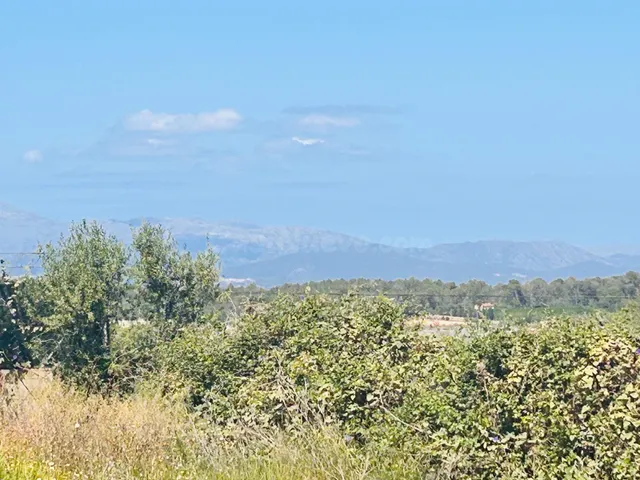 MAGNÍFICO SOLAR URBANO EN SINEU - foto 5