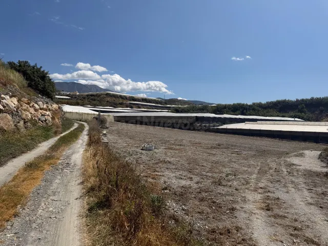 Tu terreno en el campo, a un paso de Motril. - foto 5