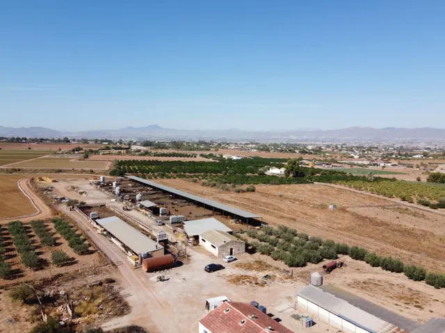 Gran explotación ganadera en lorca: capacidad para 760 cabezas y finca agrícola en producción — 2