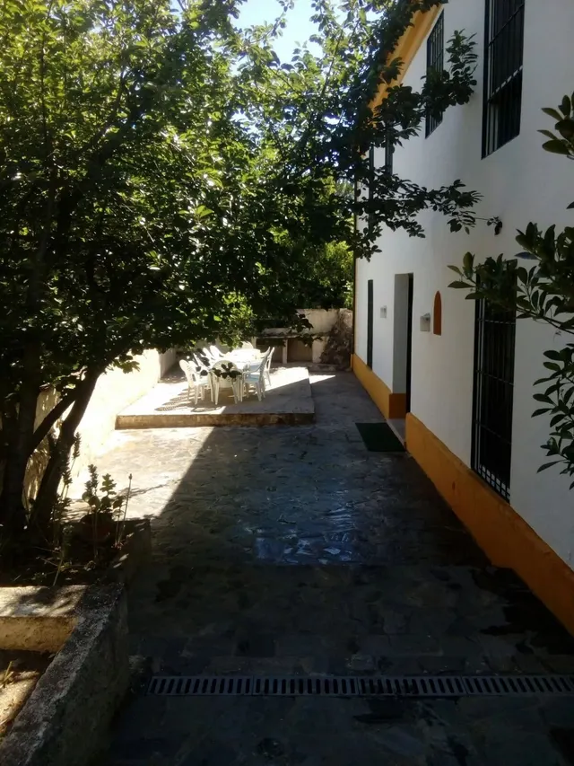 Finca rústica 7 habitaciones 443m² en venta - Andalucia — 38