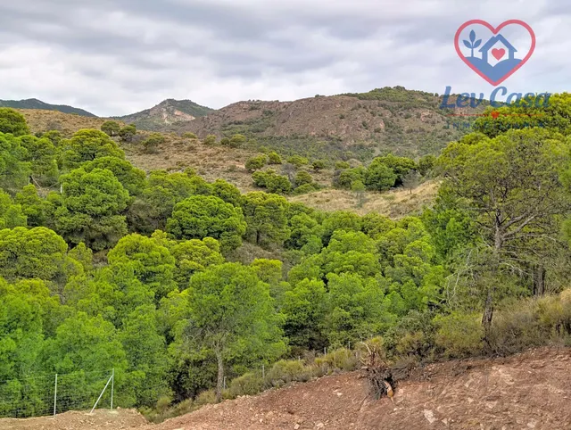 FINCA DE 10.400 M2 CON PISCINA EN SIERRA ESPUÑA — 120.000 € — 30