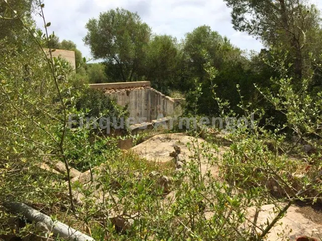 C-7048 GRAN FINCA EN CIUTADELLA — 32