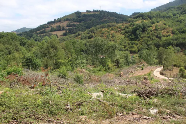CASERIO CON TERRENO EN SUMBILLA — 18