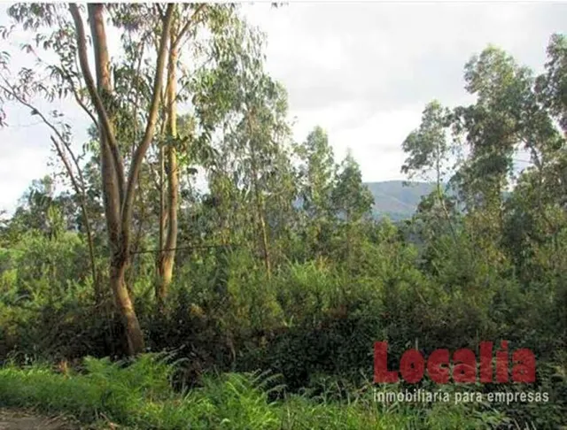 Extenso suelo a buen precio en Reocin, Cantabria — 4