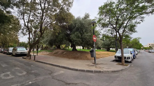 VIVIENDA CON PISCINA Y GARAJE — 30