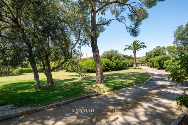 Chalet independiente en planta única con vistas a Palma, gran piscina y caseta anexa para invitados o servicio en Sa Cabaneta — 21