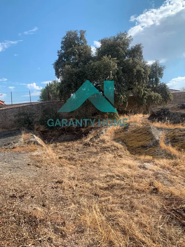 ¡MAGNÍFICO TERRENO URBANO EN MALPARTIDA DE CÁCERES! ✨ — 17