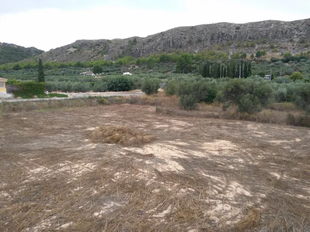 Parcela 195m² en venta - Calasparra — 11
