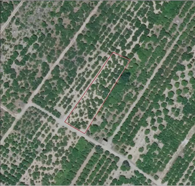 Se venden dos parcelas en terreno rural en Polinya del Xuque - foto 2