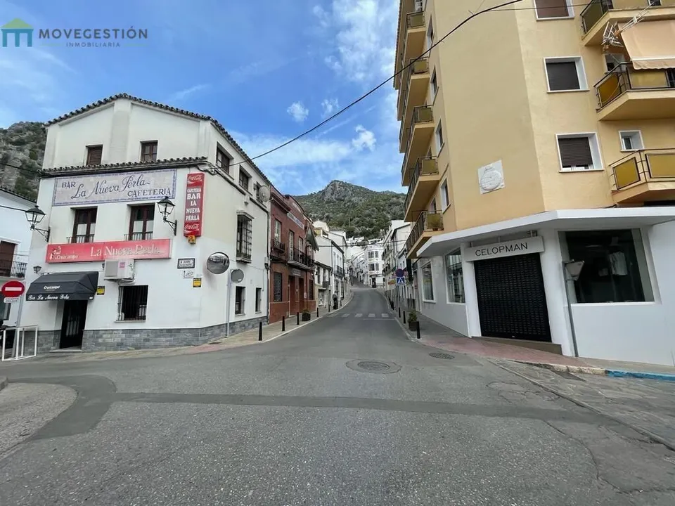 ZONA CENTRO