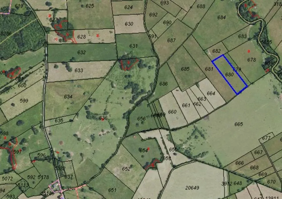 UNA HECTAREA DE TERRENO EN VALLE DE MENA
