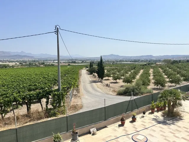 Casa-Chalet en Venta en Aspe Alicante — 30