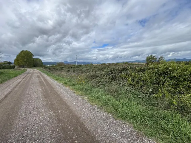 SE VENDE 8.800 M2 DE TERRENO RUSTICO EN CARRACEDELO