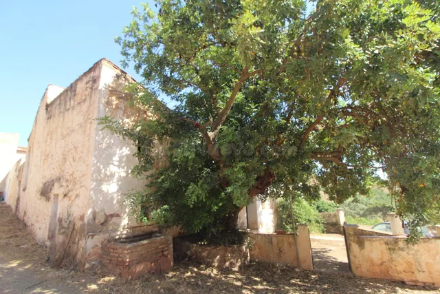Casa de Campo en Puerto de la Torre - foto 3