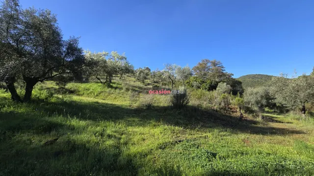 CHALET EN VENTA EN EL PUERTO CALATRAVEÑO — 27