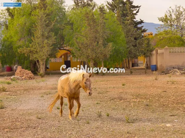 Venta de casa con 9 dormitorios y terreno de 11.000 m2 en el