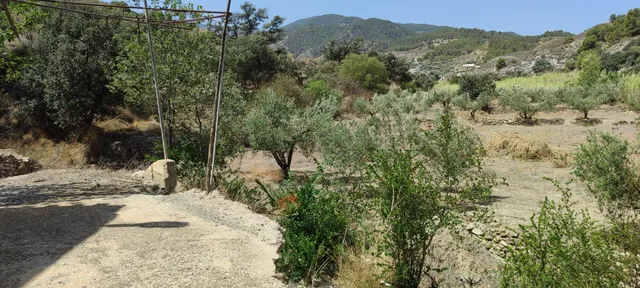 Casa de campo con terreno en Purchena ( Almería ) — 8