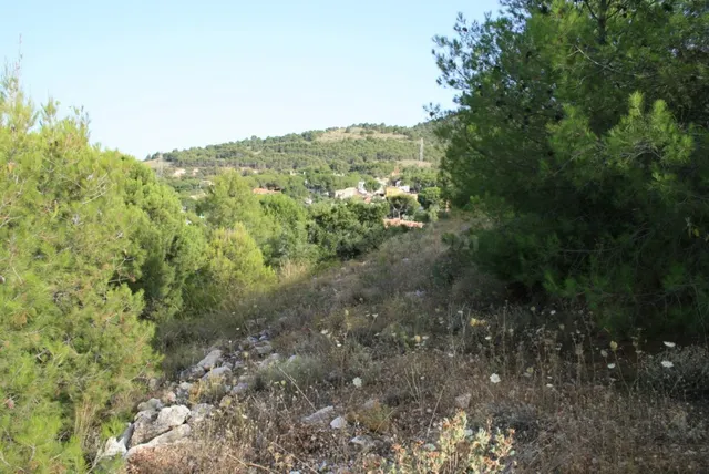Parcela en venta - Centro — 3