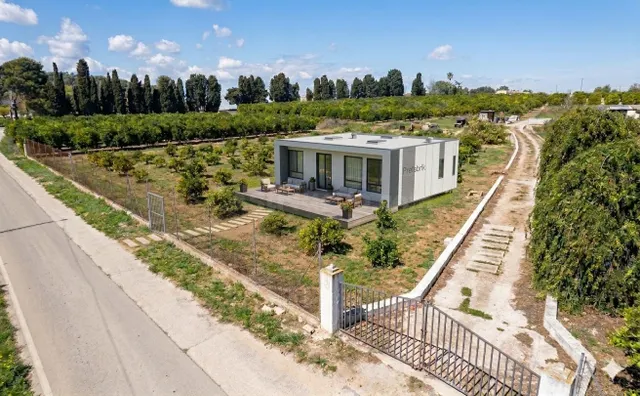 Terreno agrícola en venta – 13.013 m2 con cultivo de naranjo - foto 2