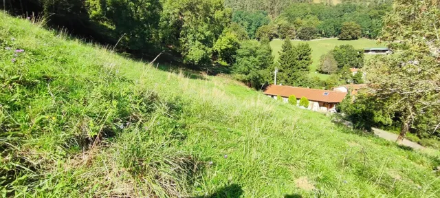 TU OPORTUNIDAD EN EL CORAZÓN VERDE DE CANTABRIA.- - foto 4